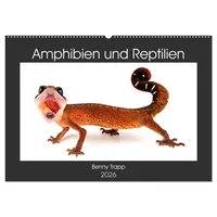 Calvendo Amphibien und Reptilien (Wandkalender 2026 DIN A2 quer),