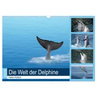 Calvendo Die Welt der Delphine (Wandkalender 2026 DIN A3