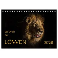 Calvendo Die Welt der Löwen (Tischkalender 2026 DIN A5