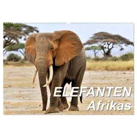 Calvendo Elefanten Afrikas (Wandkalender 2026 DIN A2 quer), CALVENDO
