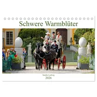 Calvendo Schwere Warmblüter 2026 (Tischkalender 2026 DIN A5 quer),