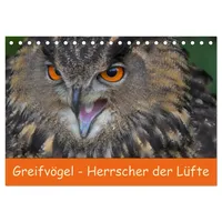 Calvendo Greifvögel - Herrscher der Lüfte (Tischkalender 2026 DIN