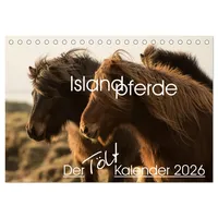 Calvendo Islandpferde - Der Tölt Kalender (Tischkalender 2026 DIN