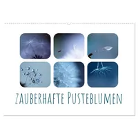 Calvendo Zauberhafte Pusteblumen (Wandkalender 2026 DIN A2 quer), CALVENDO