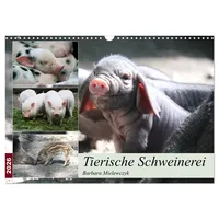 Calvendo Tierische Schweinerei (Wandkalender 2026 DIN A3 quer), CALVENDO