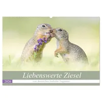 Calvendo Liebenswerte Ziesel - vom Aussterben bedrohte Nagetiere (Wandkalender