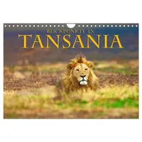 Calvendo Blickpunkte Tansanias (Wandkalender 2026 DIN A4 quer), CALVENDO
