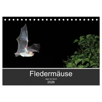 Calvendo Fledermäuse - Jäger der Nacht (Tischkalender 2026 DIN