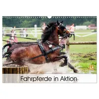 Calvendo Fahrpferde in Aktion (Wandkalender 2026 DIN A3 quer),