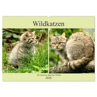 Calvendo Wildkatzen - Die lautlosen Jäger des Waldes (Wandkalender