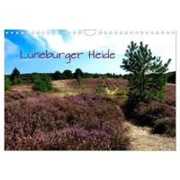 Calvendo Lüneburger Heide (Wandkalender 2026 DIN A4 quer), CALVENDO