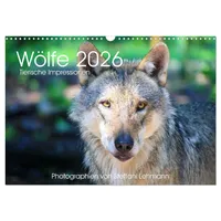 Calvendo Wölfe 2026. Tierische Impressionen (Wandkalender 2026 DIN A3