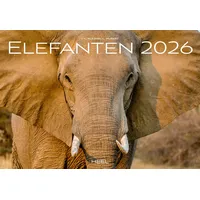 Heel Verlag GmbH Elefanten Kalender 2026: Einfühlsame Fotografien der