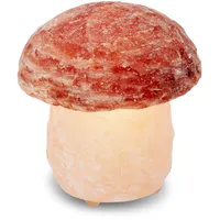 Himalaya Salt Dreams Salzkristall-Tischlampe »Pilz«, Leuchtmittel E14 Leuchtmittel wechselbar,