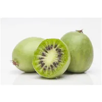 Pflanzen Für Dich Actinidia arguta 'Weiki' -R-, Kiwi, selbstfruchtend,