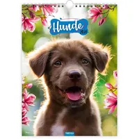 Trötsch Verlag Trötsch Classickalender Hunde 2026