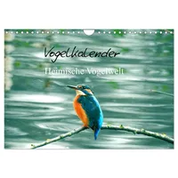 Calvendo Vogelkalender (Wandkalender 2026 DIN A4 quer), CALVENDO Monatskalender