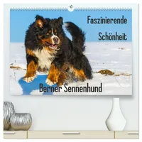Calvendo Faszinierende Schönheit Berner Sennenhund (hochwertiger...
