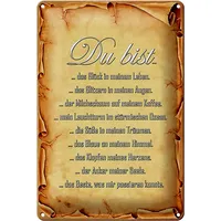 Femer gmbh Metallschild Spruch 20x30cm Du bist Glück in