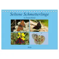 Calvendo Schmetterlinge in Deutschland (Tischkalender 2026 DIN A5 quer),