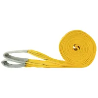 MCS Cargo Security Hebeschlinge 6 m 3 t