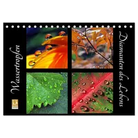 Calvendo Wassertropfen - Diamanten des Lebens (Tischkalender 2026 DIN