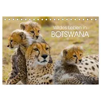 Calvendo Wildes Leben in Botswana (Tischkalender 2026 DIN A5