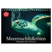Calvendo Meeresschildkröten. Nomaden der Ozeane (Tischkalender 2026 DIN A5