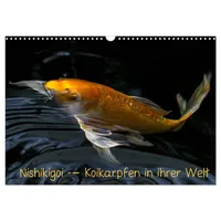 Calvendo Nishikigoi – Koikarpfen in ihrer Welt (Wandkalender 2026