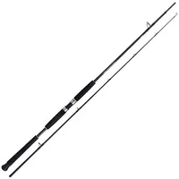 Shimano Fishing Shimano Beastmaster AX Pilk 2,40m 100-200g 2pc