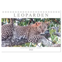 Calvendo Leoparden - Geheimnisvolle Jäger (Tischkalender 2026 DIN A5
