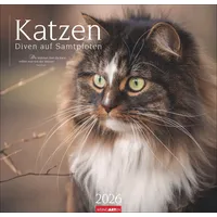 Weingarten Katzen - Diven auf Samtpfoten Kalender 2026