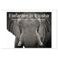 Calvendo Elefanten in Etosha (Wandkalender 2026 DIN A3 quer),