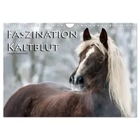 Calvendo Faszination Kaltblut (Wandkalender 2026 DIN A4 quer), CALVENDO