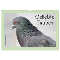 Calvendo Geliebte Tauben (Wandkalender 2026 DIN A3 quer), CALVENDO
