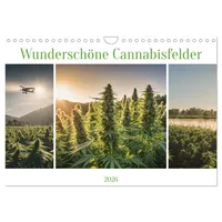 Calvendo Wunderschöne Cannabisfelder (Wandkalender 2026 DIN A4 quer), CALVENDO