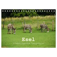 Calvendo Esel - liebenswerte Langohren (Tischkalender 2026 DIN A5
