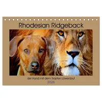 Calvendo Rhodesian Ridgeback der Hund mit dem Tropfen Löwenblut