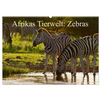 Calvendo Afrikas Tierwelt: Zebras (Wandkalender 2026 DIN A2 quer),