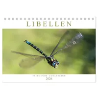 Calvendo Libellen - Fliegende Edelsteine (Tischkalender 2026 DIN A5