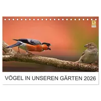 Calvendo Vögel in unseren Gärten 2026 (Tischkalender 2026 DIN