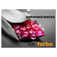 Calvendo schwarz/weiß trifft farbe (Wandkalender 2026 DIN A4 quer),