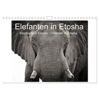Calvendo Elefanten in Etosha (Wandkalender 2026 DIN A4 quer),