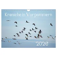 Calvendo Kraniche in Vorpommern (Wandkalender 2026 DIN A4 quer),