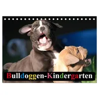 Calvendo Bulldoggen-Kindergarten (Tischkalender 2026 DIN A5 quer), CALVENDO Monatskalender