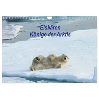 Calvendo Eisbären - Könige der Arktis (Wandkalender 2026 DIN