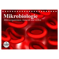 Calvendo Mikrobiologie. Mikroorganismen, Genetik und Zellen (Tischkalender 2026 DIN