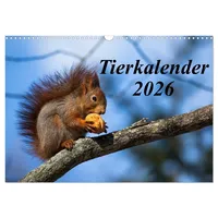 Calvendo Tierkalender 2026 (Wandkalender 2026 DIN A3 quer), CALVENDO