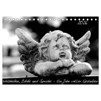 Calvendo Weisheiten, Zitate und Sprüche - Ein Jahr voller