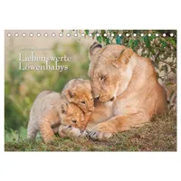 Calvendo Emotionale Momente: Liebenswerte Löwenbabys / CH-Version (Tischkalender 2026